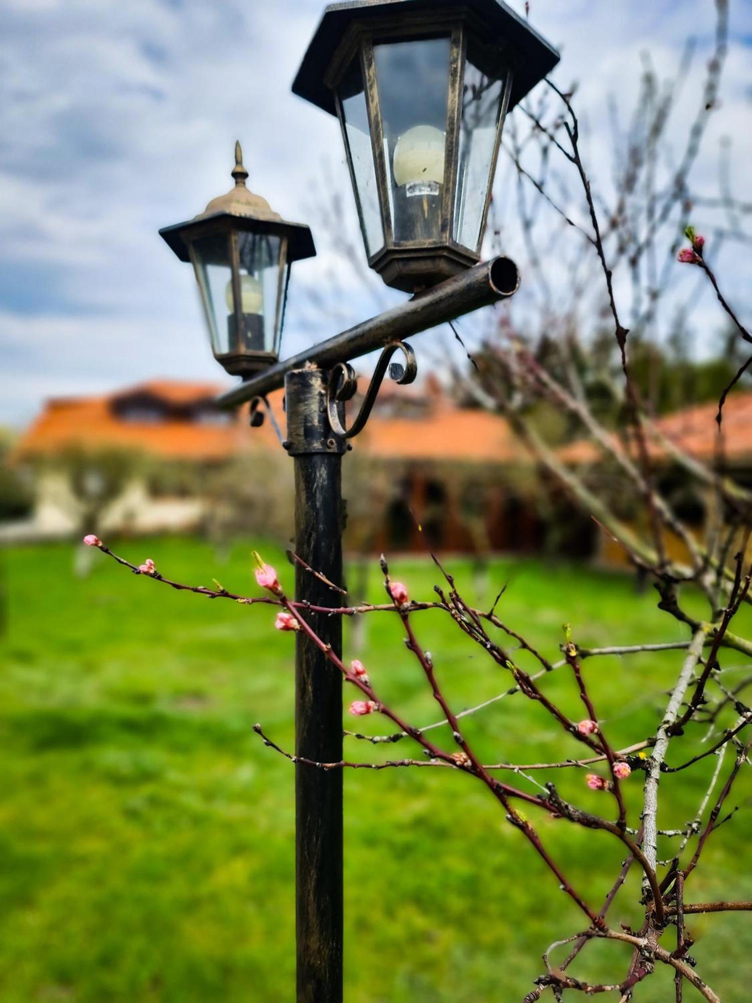 Gosciniec Gryszczeniowka & Spa Wargowo Екстериор снимка