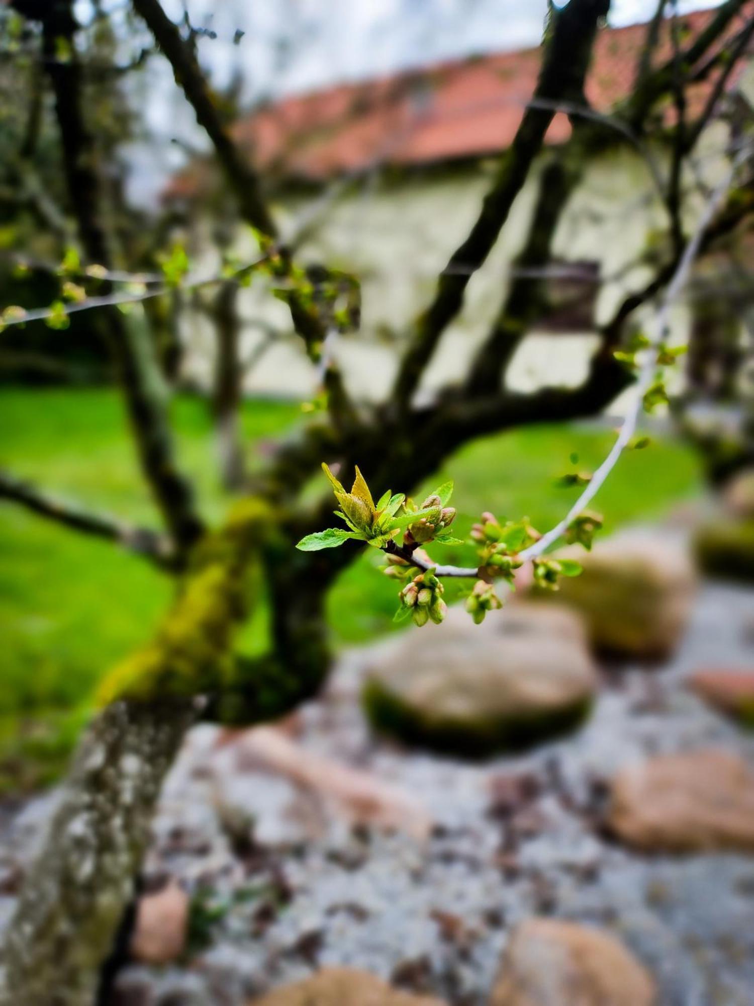 Gosciniec Gryszczeniowka & Spa Wargowo Екстериор снимка